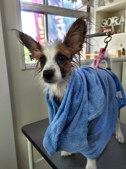 Processed with Rookie Cam