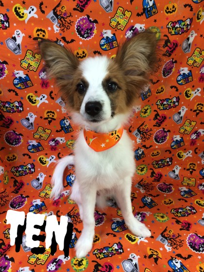 Processed with Rookie Cam