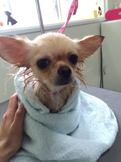 Processed with Rookie Cam