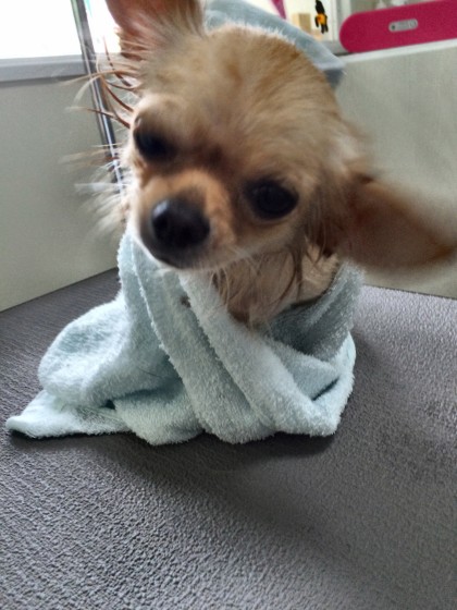 Processed with Rookie Cam