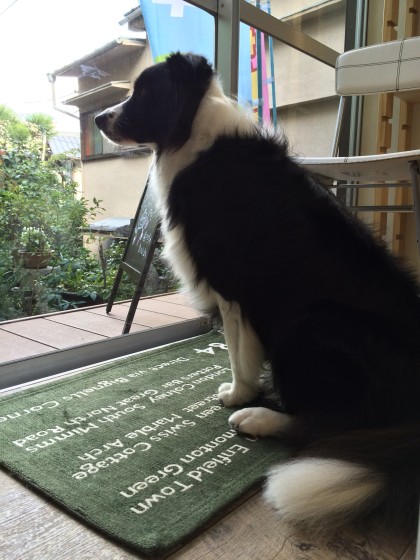 2015-10-06 15.49.52 HDR