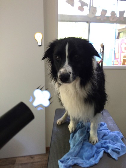 Processed with Rookie Cam