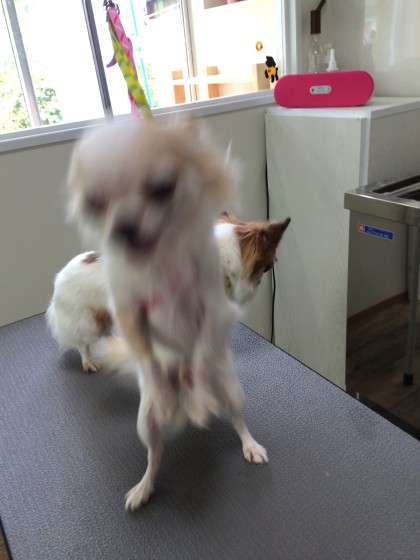 Processed with Rookie Cam