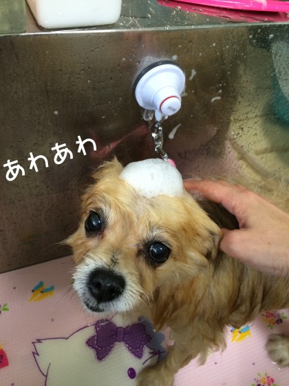 Processed with Rookie Cam