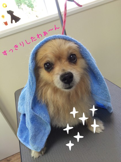 Processed with Rookie Cam