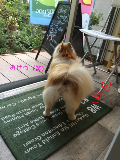 Processed with Rookie Cam