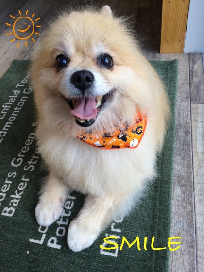 Processed with Rookie Cam