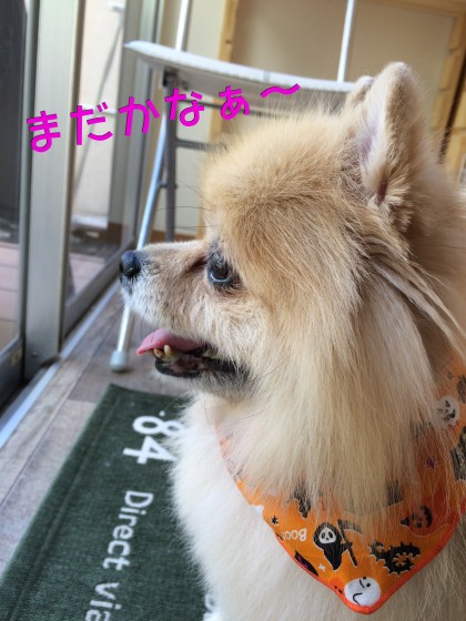 Processed with Rookie Cam