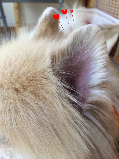 Processed with Rookie Cam