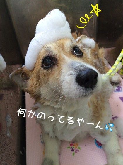 Processed with Rookie Cam