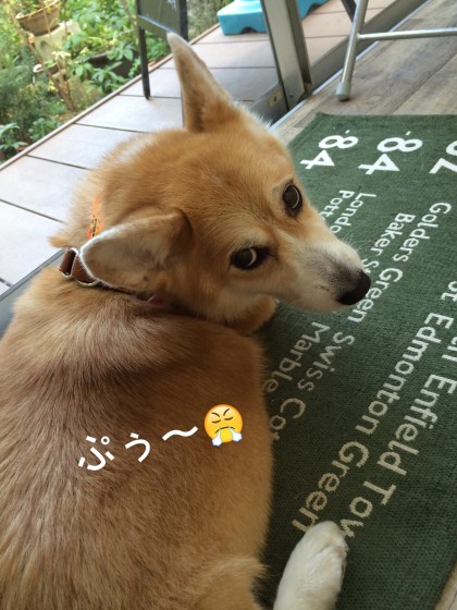 Processed with Rookie Cam