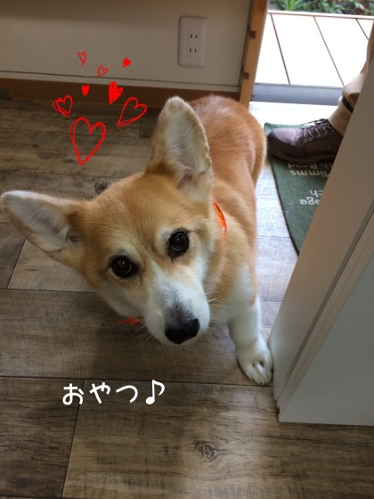 Processed with Rookie Cam