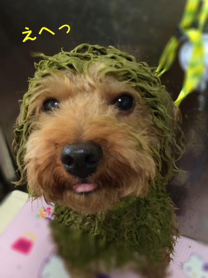 Processed with Rookie Cam