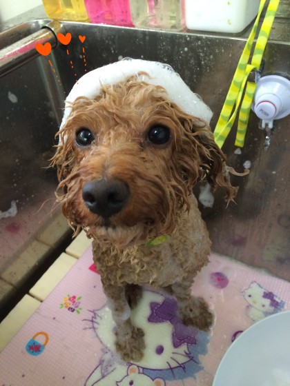 Processed with Rookie Cam