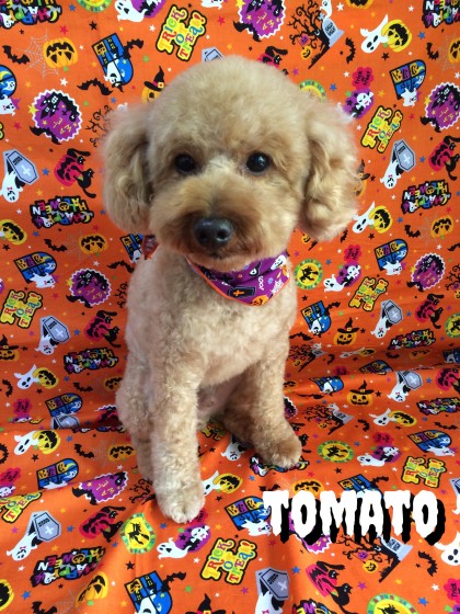 Processed with Rookie Cam