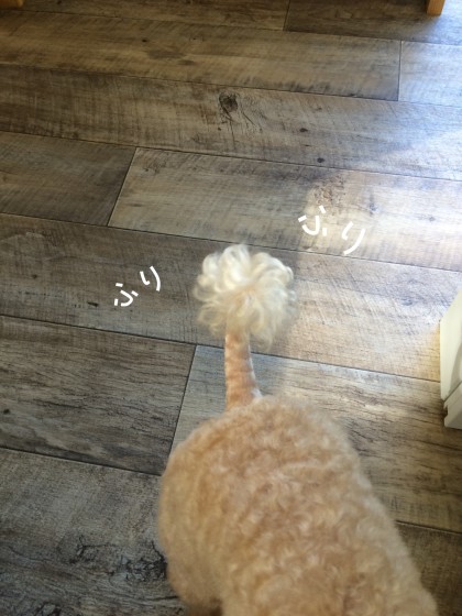 Processed with Rookie Cam