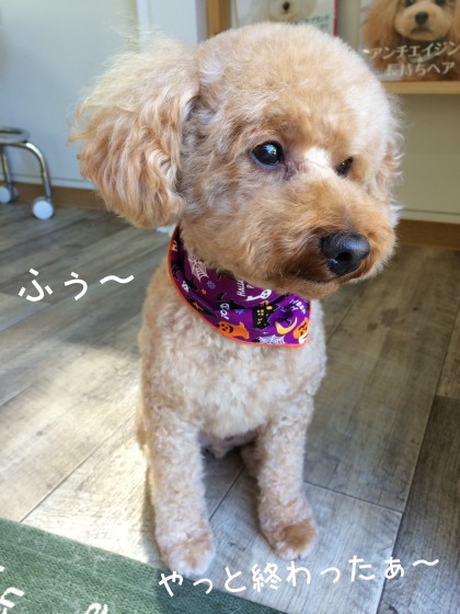 Processed with Rookie Cam