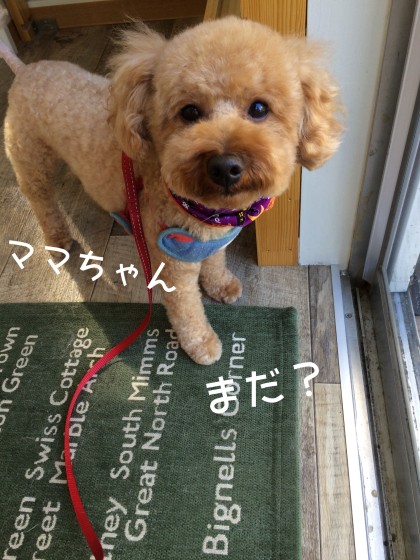 Processed with Rookie Cam