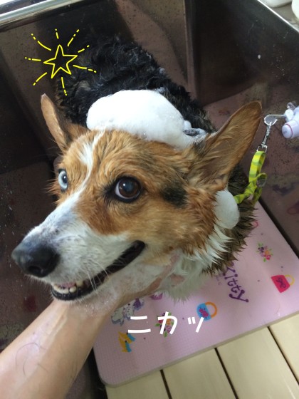 Processed with Rookie Cam