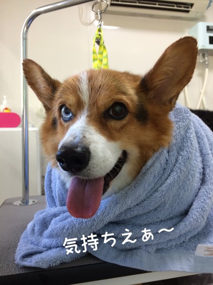 Processed with Rookie Cam