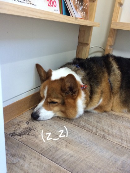 Processed with Rookie Cam