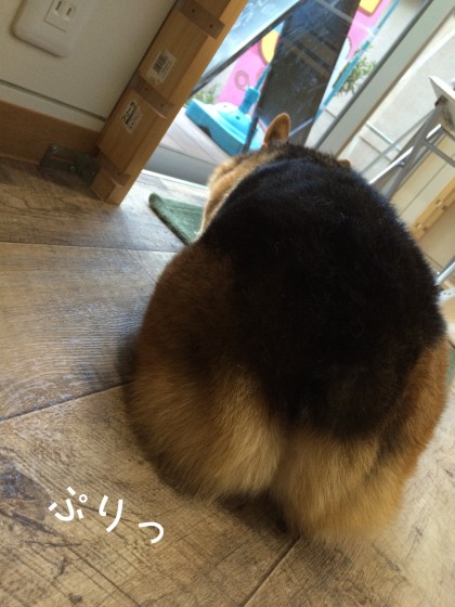 Processed with Rookie Cam