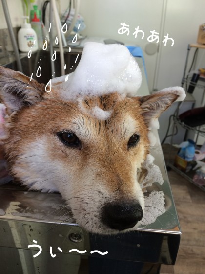 Processed with Rookie Cam