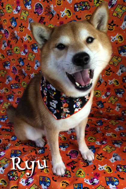 Processed with Rookie Cam