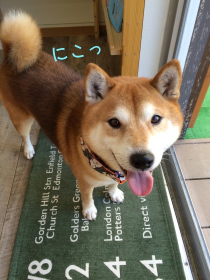 Processed with Rookie Cam