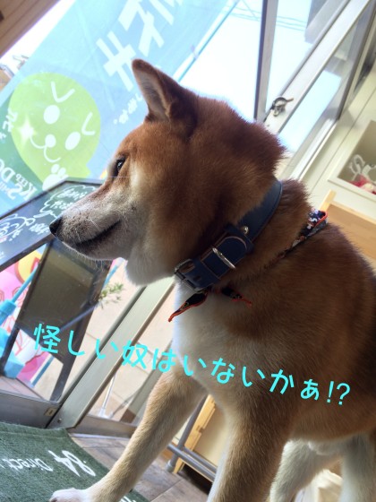 Processed with Rookie Cam