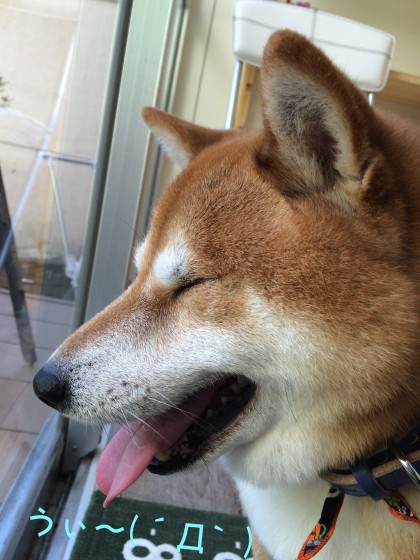 Processed with Rookie Cam