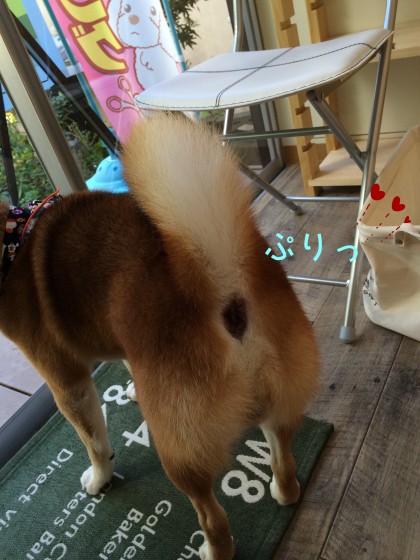 Processed with Rookie Cam