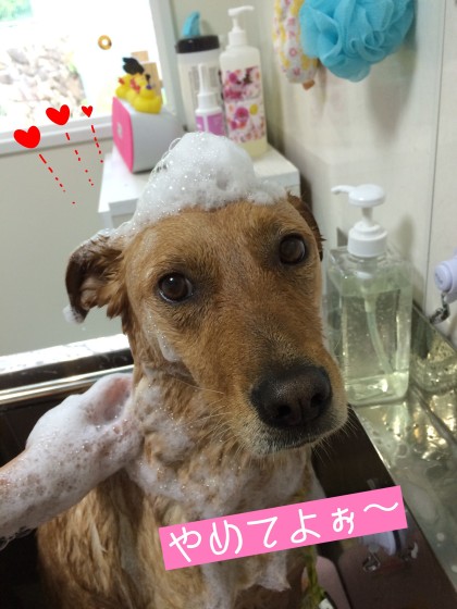 Processed with Rookie Cam