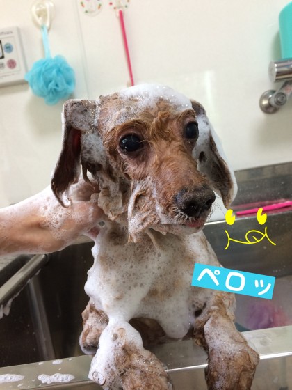 Processed with Rookie Cam