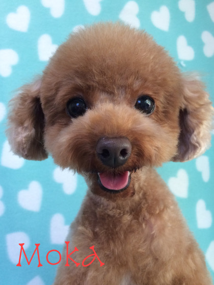 Processed with Rookie Cam