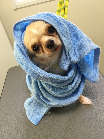 2015-11-11 14.40.25-1