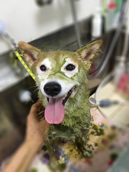 2015-11-13 10.25.36-1