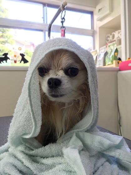 2015-11-16 10.09.08 HDR