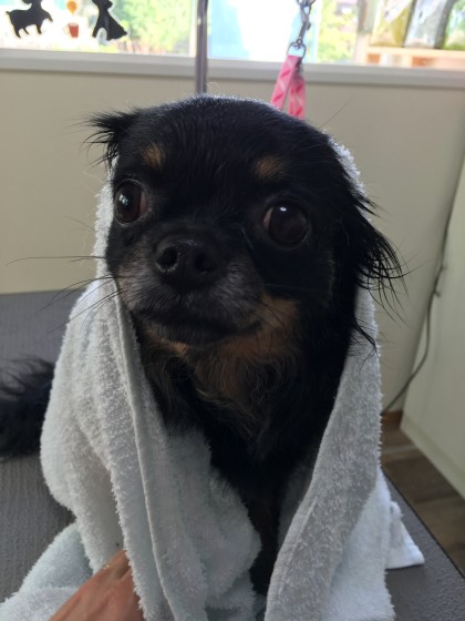 2015-11-16 11.05.31 HDR