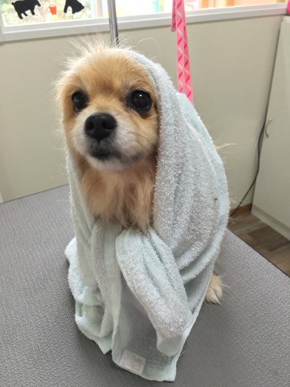 2015-11-24 10.26.22 HDR