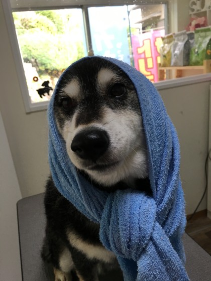 2015-11-24 14.12.10-1