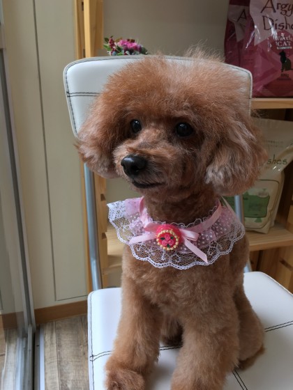 2015-11-26 12.11.21 HDR-1