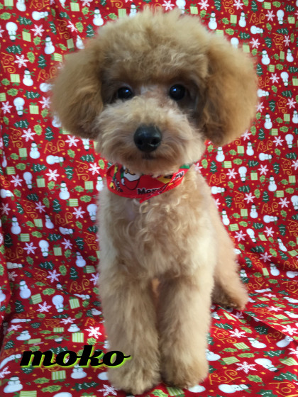 Processed with Rookie Cam