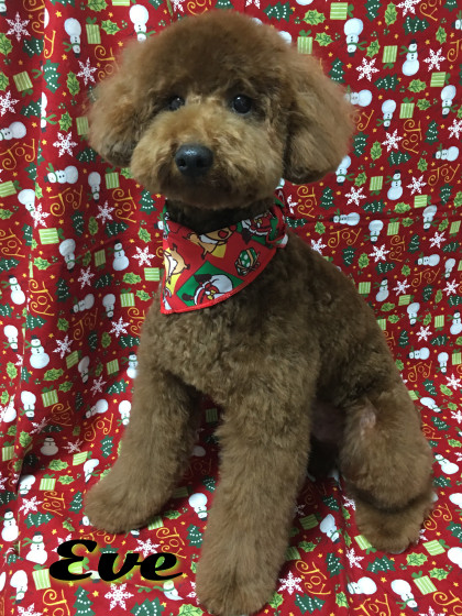 Processed with Rookie Cam