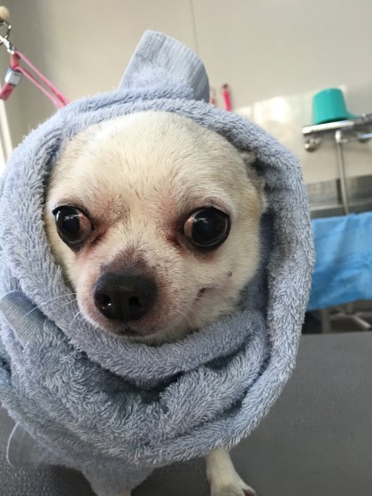 2015-12-17 09.43.57-1