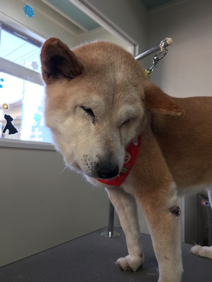 2015-12-17 10.57.08 HDR