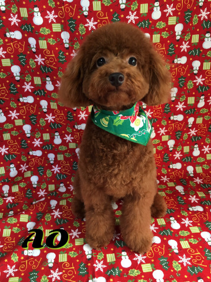 Processed with Rookie Cam