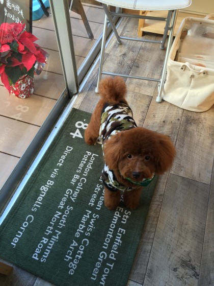 2015-12-20 11.56.09 HDR