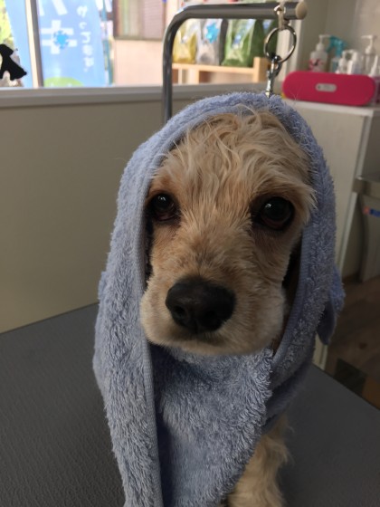 2015-12-26 09.58.32 HDR