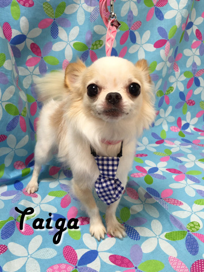 Processed with Rookie Cam